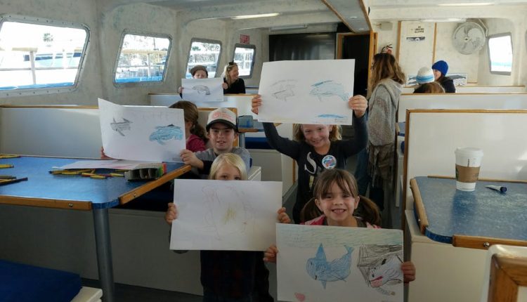 Wyland’s Whale and Dolphin Adventure Art Lesson