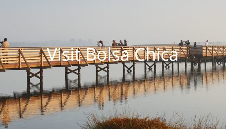 Bolsa Chica Wetlands