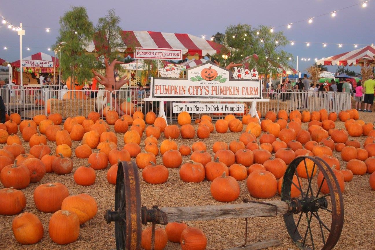 Pumpkin City Pumpkin Farm.