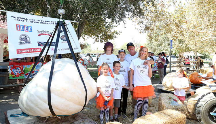 Irvine railroad pumpkin patch