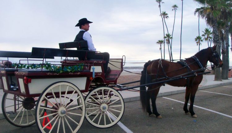 Oceanside Valentines Week – Horse and Carriage Rides 1800×1200