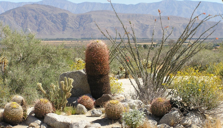Anza Borrego Desert State Park
