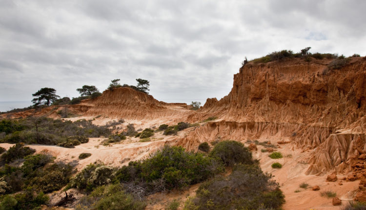 Torrey Pines State Natural Reserve