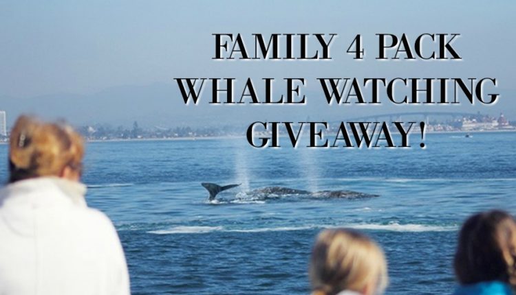 Family with Whale Giveaway TW