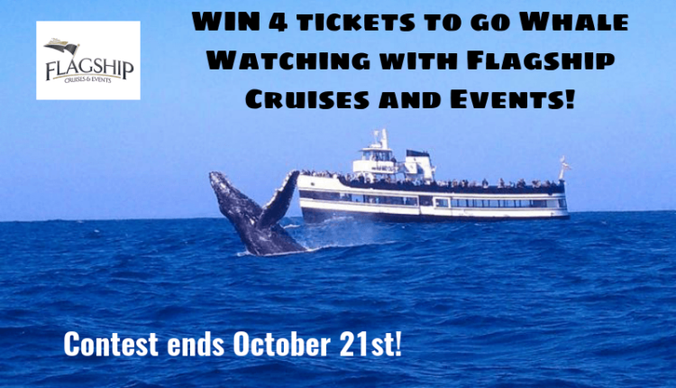 Flagship-Cruise-Whale-Watching-contest (1)