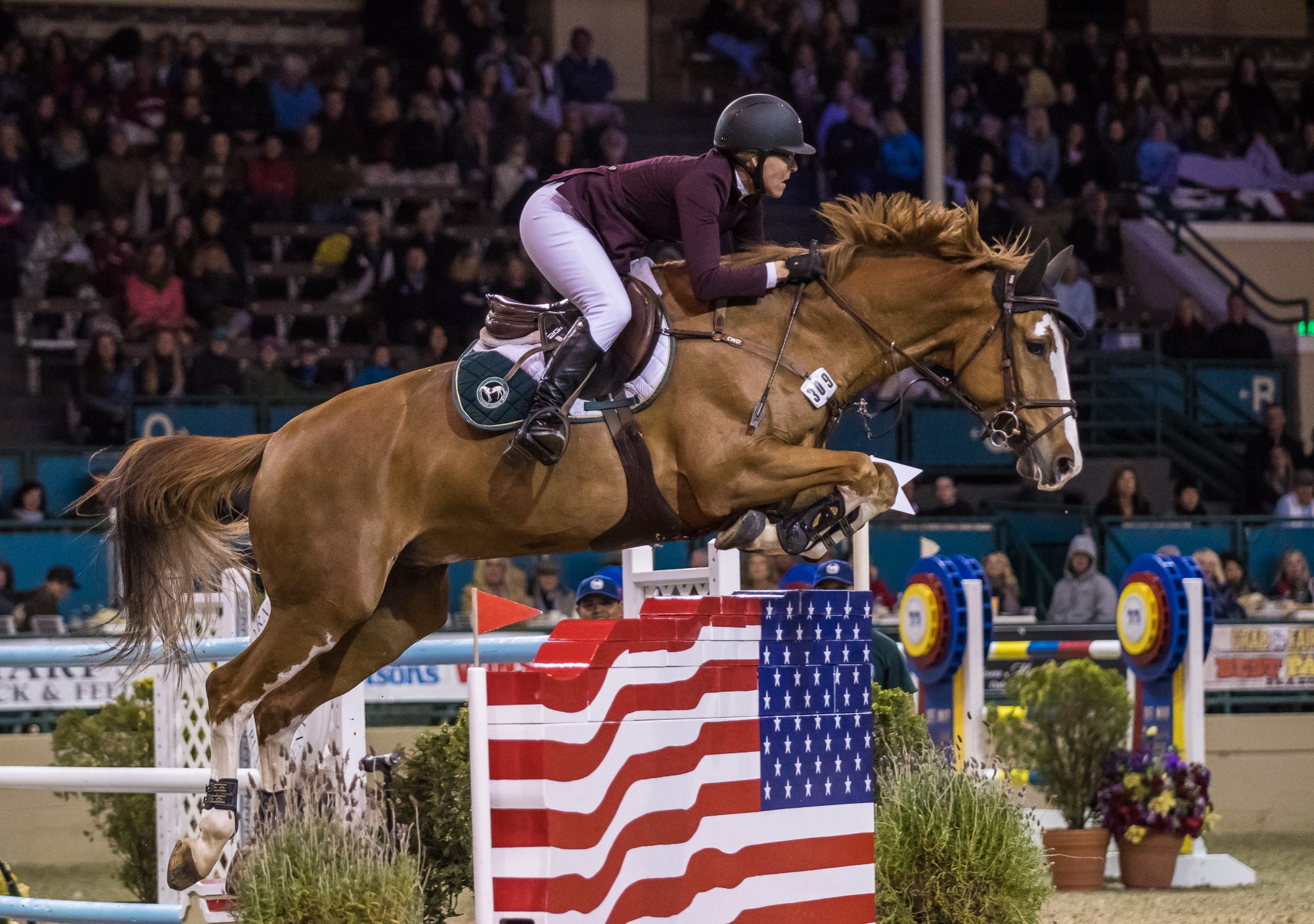 Del Mar Horse Show 101 Things To Do In San Diego