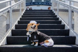 Hornblower Cruises and events San Diego