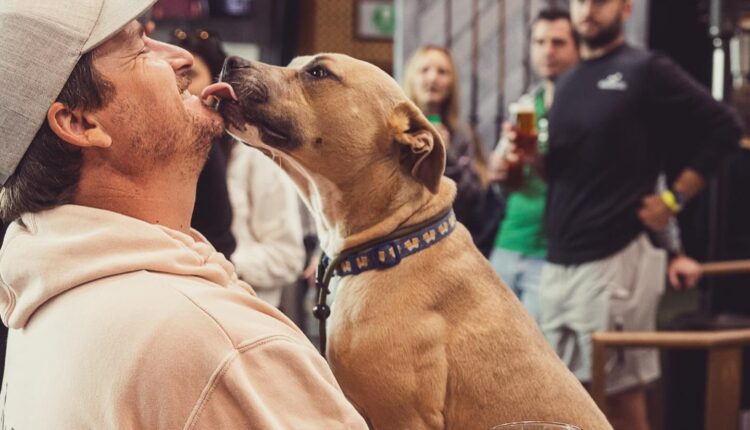 Our Favorite Sports Bars in San Diego