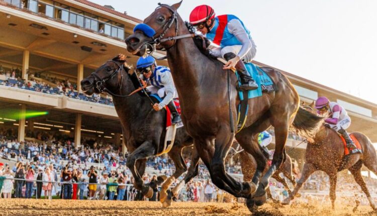 Things To Do This Week in San Diego August 26th - September 1st