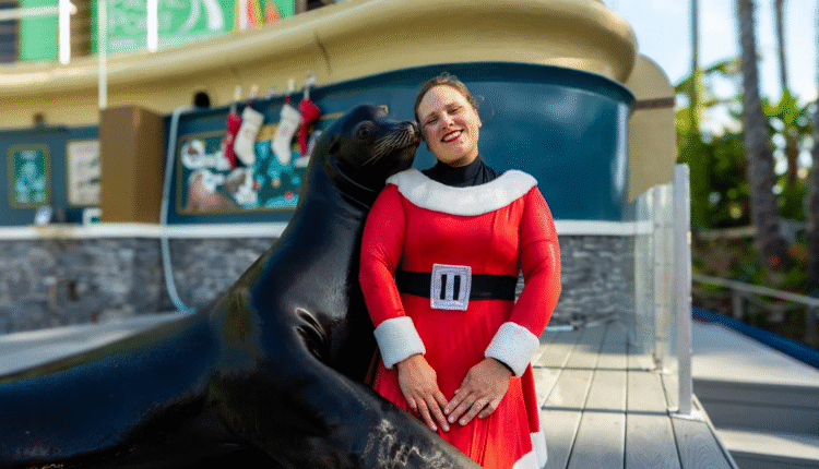 The Best Christmas Lightshows & Holiday Events in San Diego