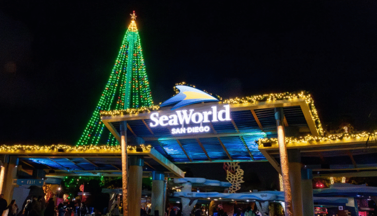 The Best Christmas Lightshows & Holiday Events in San Diego