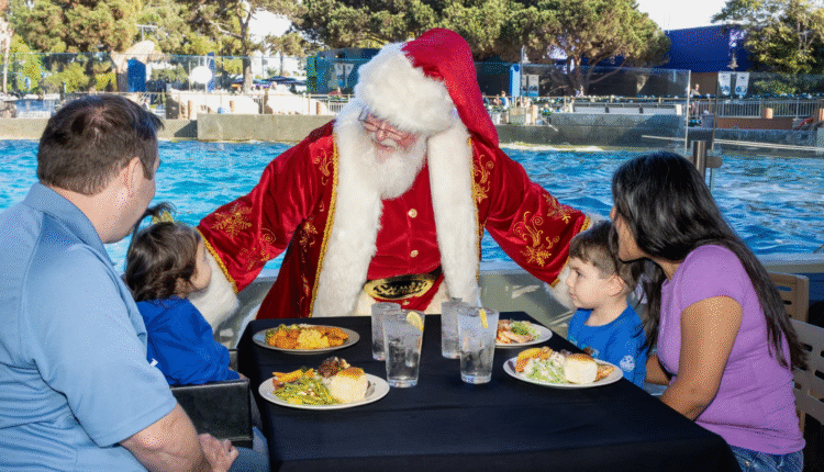 750x422_swc_event_christmas_05 (1)